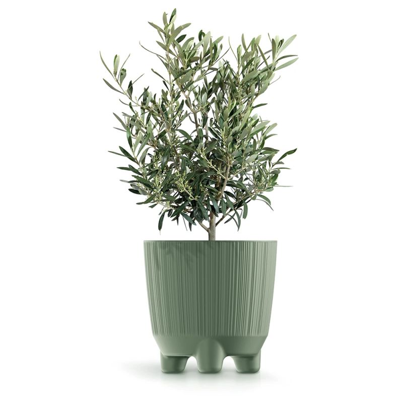 Puķupods ryfo n drf150n-5615c