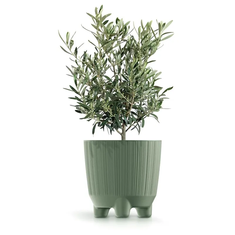 Puķu pods Prosperplast Ryfo DRF150N-5615C, plastmasa, zaļa