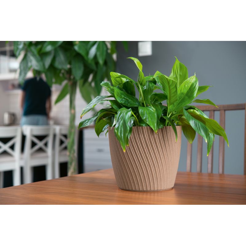 Цветочный горшок Form Plastic Mika Petit Eco 4535-078, пластик, коричневый