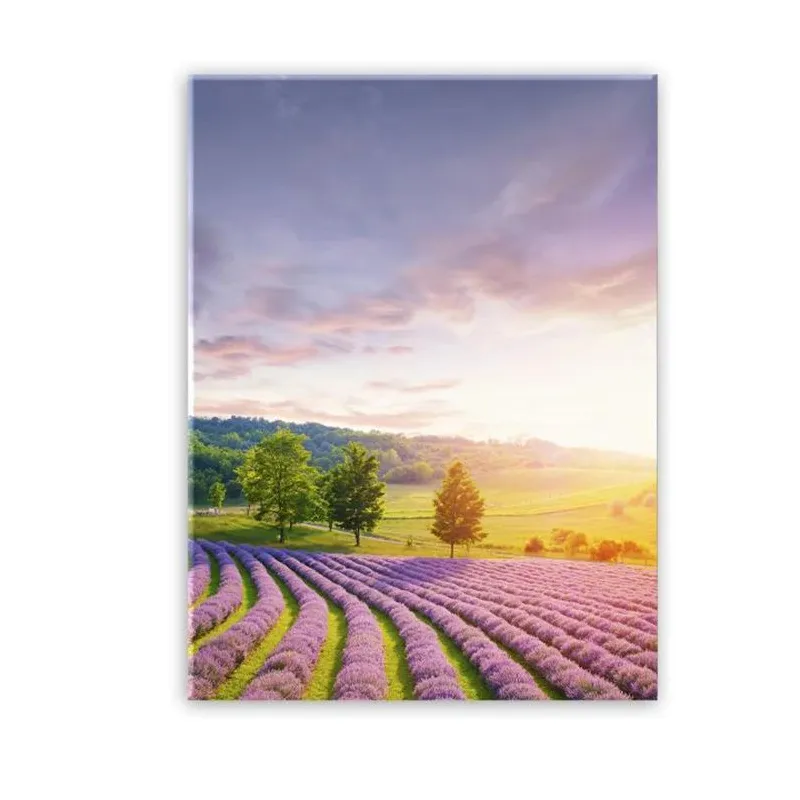 Foto glezna 50x70cm TUSCANY