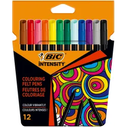 Flomasteriai Bic 978004, vienpusiai, 12 vnt.