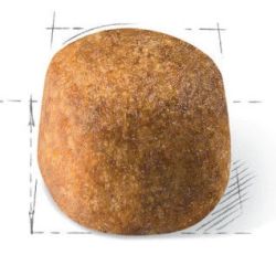 Cat food fbn maine coon