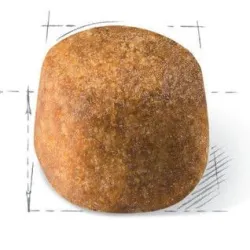 Cat food fbn maine coon