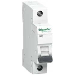 Lüliti Schneider Electric, 1P, B, 6kA, 40 A