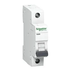Automatinis jungiklis Schneider Electric K60N, 1P, C, 6kA, 10 A