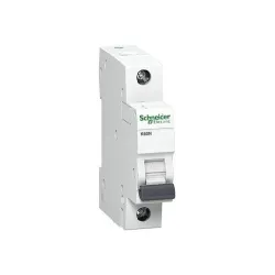 Automaatne lüliti Schneider Electric K60N, 1P, C, 6kA, 16 A