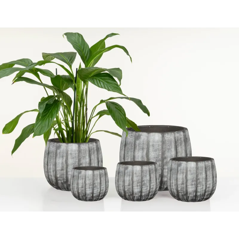 Gėlių vazonas Scheurich 67957, keramika, pilka sp.