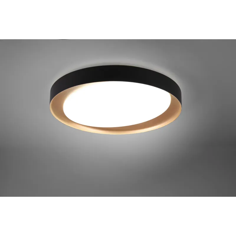 Lampa griesti Reality Zeta R62712402, LED, 2700 - 6000 °K, 1 x 24 W