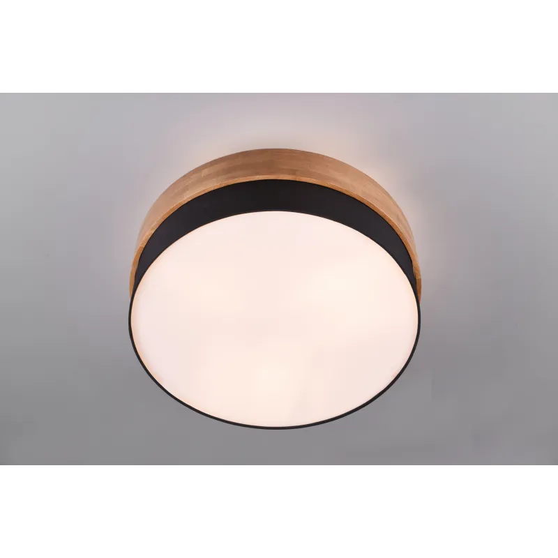 Lampa griesti Trio Seasons 611500302, E27, 3 x 40 W