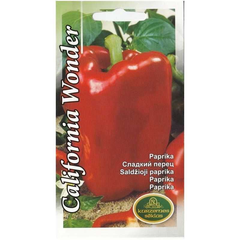 Sēklas paprika andromeda h