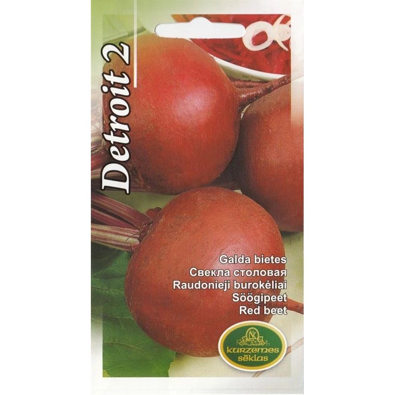 Sēklas bietes galda detroit 2