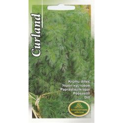 Sēklas dilles kurland