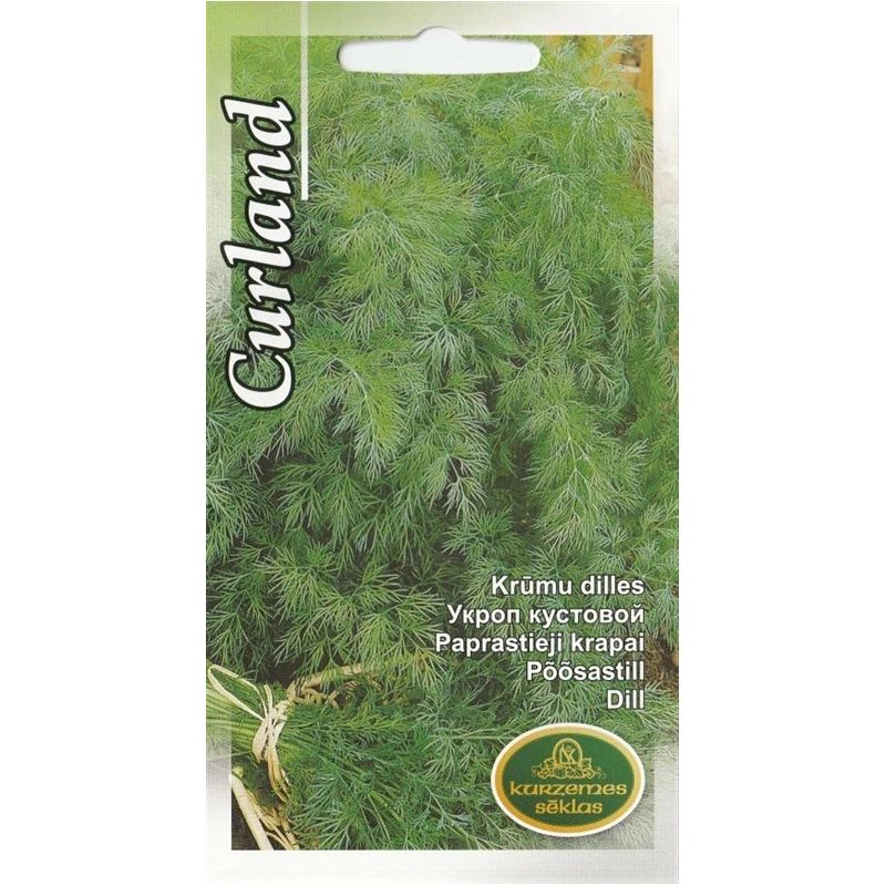 Sēklas dilles kurland