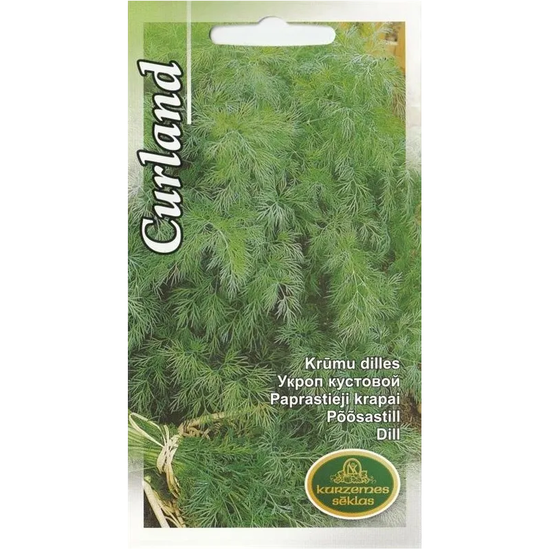 Sēklas Kurzemes sēklas dilles Dill Kurland, 8 g