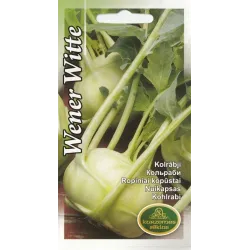 Seeds Kurzeme seeds, kohlrabi Wener Witte, 2 g