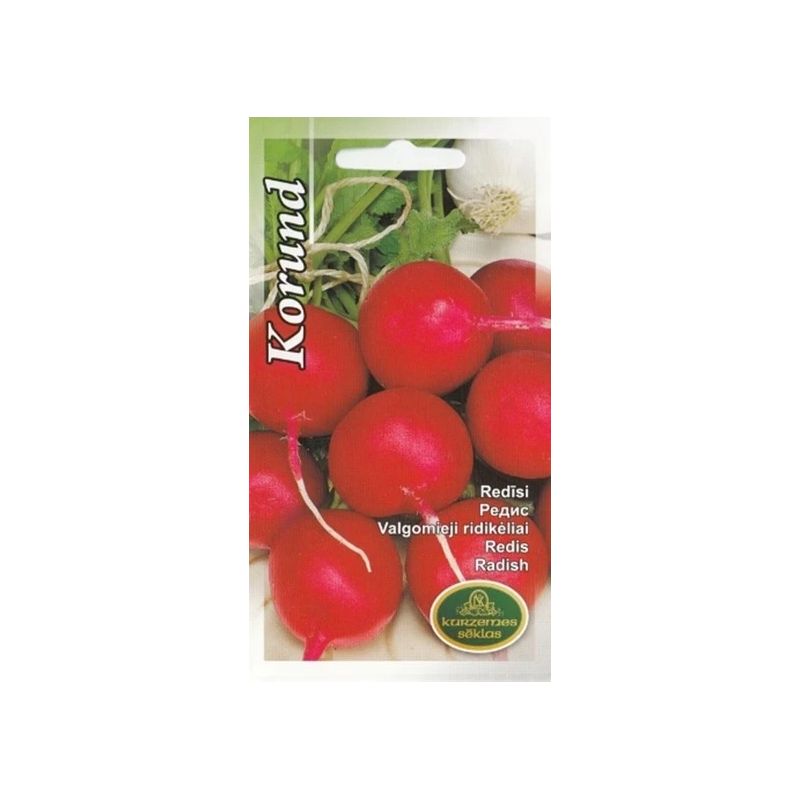 Sēklas redīsi korund