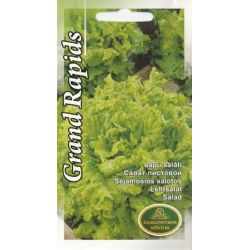 Sēklas salāti grand rapids