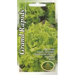 Sēklas salāti grand rapids