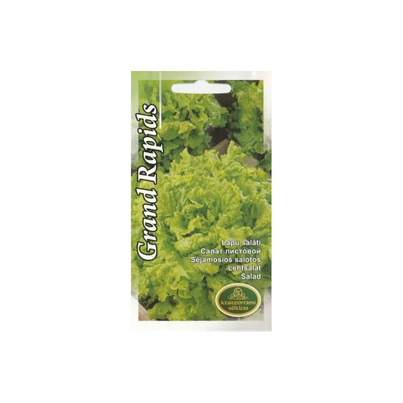 Sēklas salāti grand rapids