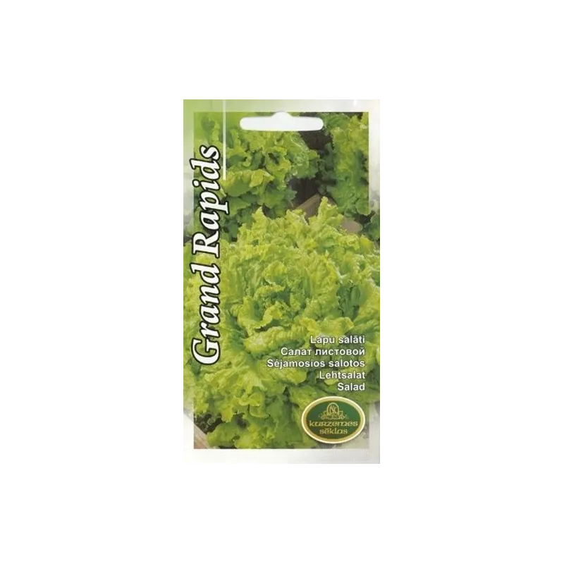 Sēklas, salāti Grand Rapids, 2 g