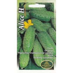 Sēklas gurķi alice f1