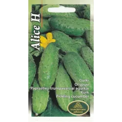 Sēklas Kurzemes sēklas, gurķi Alice H, 1 g