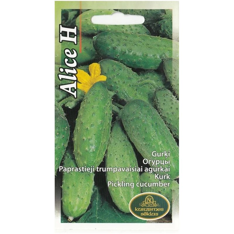 Sēklas gurķi alice f1