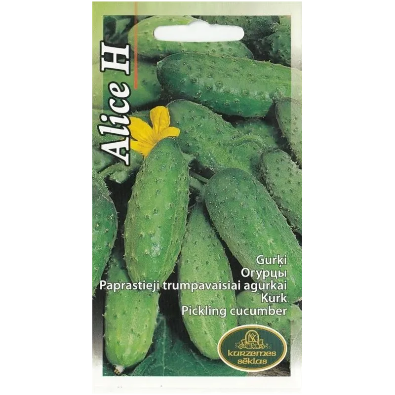 Sēklas Kurzemes sēklas, gurķi Alice H, 1 g