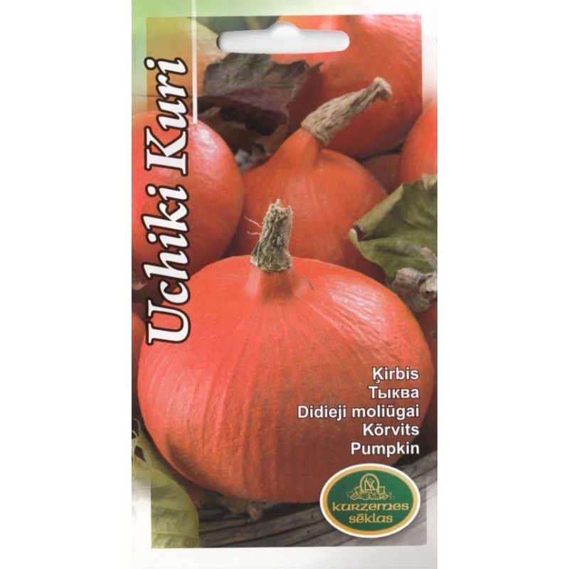 Sēklas ķirbji uchiki kuri 1g