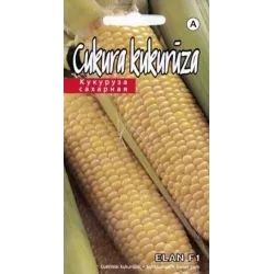 Sēklas kukurūza elan f1