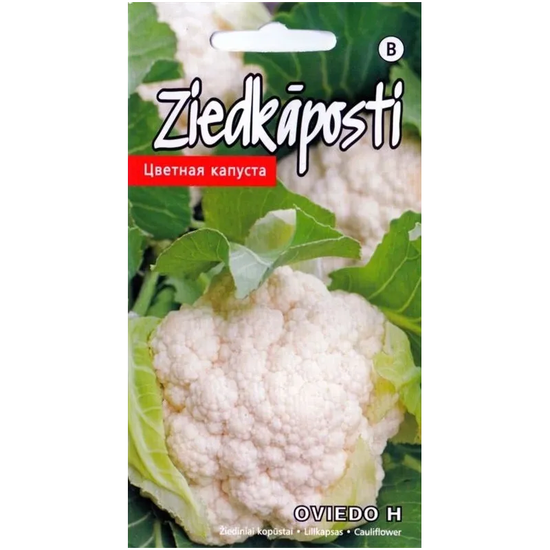 Sēklas Kurzemes sēklas, ziedkāposti OVIEDO, 0.1 g