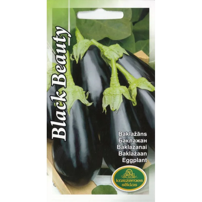 Sēklas Kurzemes sēklas, baklažāns Black Beauty, 0.2 g