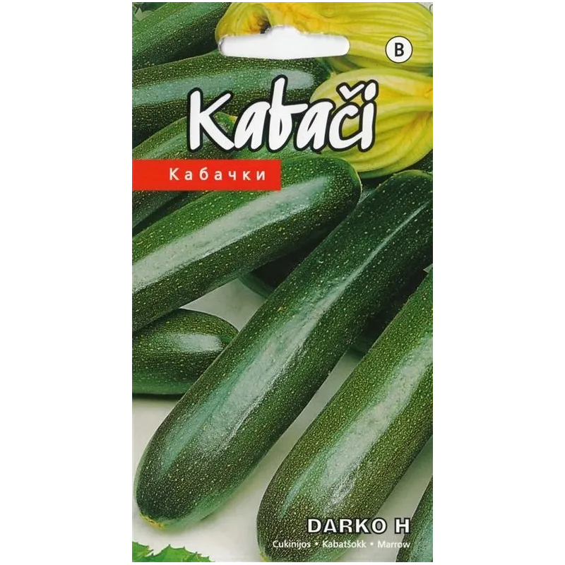 Sēklas Kurzemes sēklas, kabacis DARKO H, 0.1 g