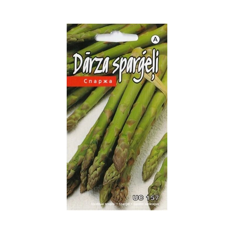 Sēklas sparģeļi uc 157 f2