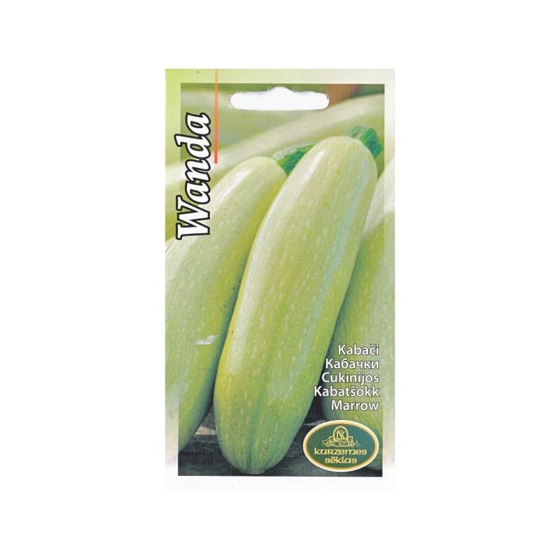 Sēklas kabači wanda