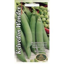 Sēklas zirņi kelvedon wonder 15g