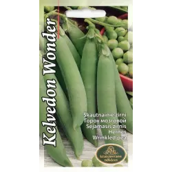 Sēklas zirņi kelvedon wonder 15g