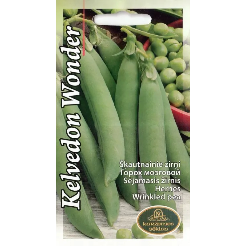 Sēklas Kurzemes sēklas, zirņi Kelvedon Wonder, 15 g
