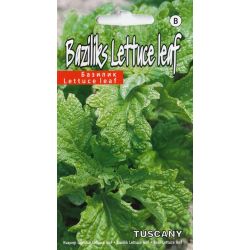 Sēklas baziliks tuscany