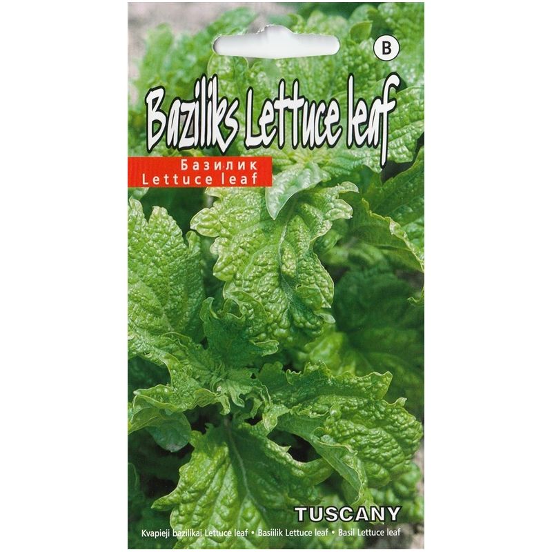 Sēklas baziliks tuscany