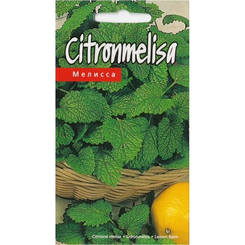 Sēklas citronmelisa