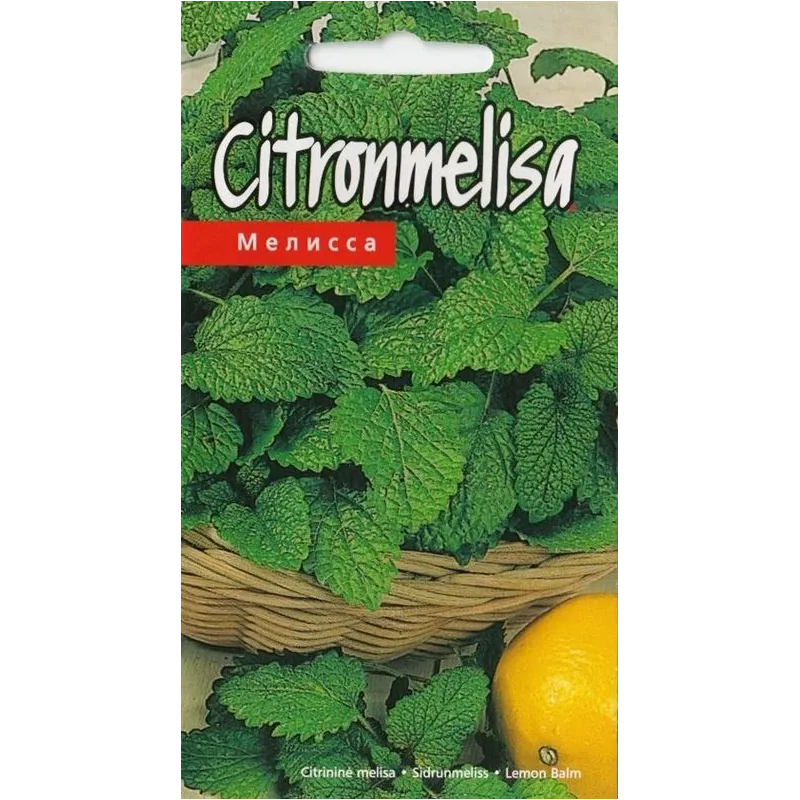 Sēklas melisas Lemon Balm, 3 g