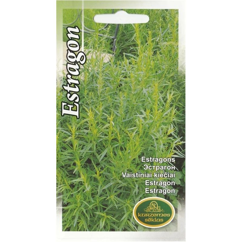 Sēklas estragons