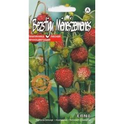 Sēklas zemenes erna