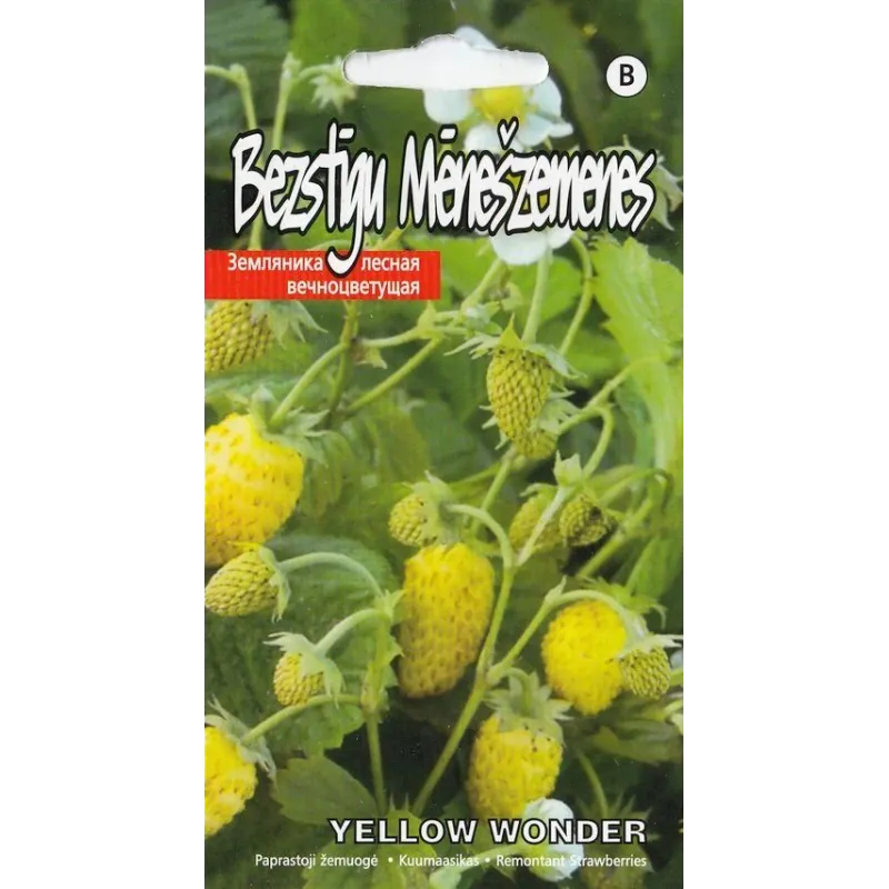 Sēklas Kurzemes sēklas, zemenes Yellow Wonder, 0.1 g