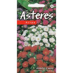 Sēklas astres pinocchio jauktas