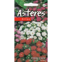 Sēklas Kurzemes sēklas asteres Pinocchio, 0.2 g