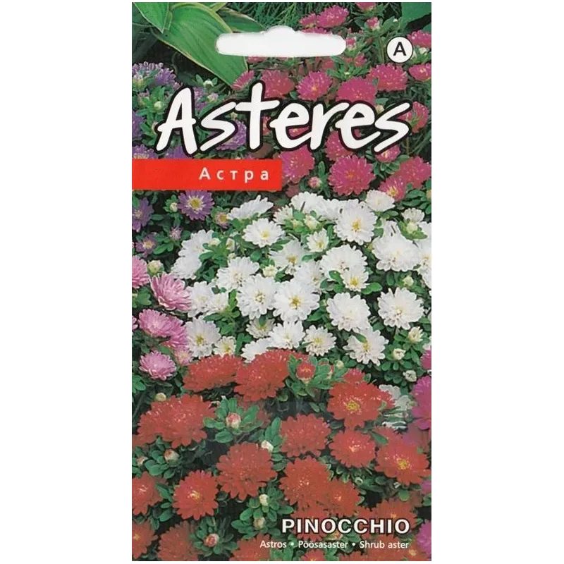 Sēklas Kurzemes sēklas asteres Pinocchio, 0.2 g