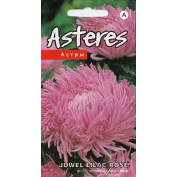 Sēklas astres juwel lilac rose