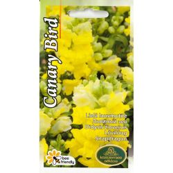 Sēklas lielā lauvmutīte canary bird 0.2g